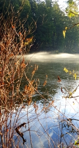 Mist on the lake. Photo by author, January 2017