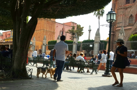 San Miguel de Allende. Author photo, February 2017.